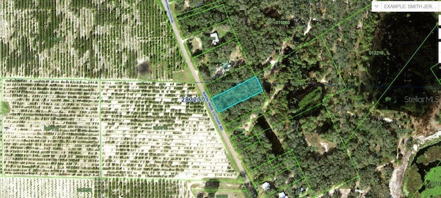 Avon Park Cutoff Rd, Frostproof FL, 33843 land for sale