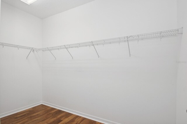 981 Galway Blvd, Apopka, FL 32703 - spacious closet with dark wood-style floors