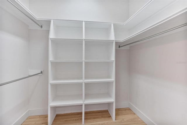 spacious closet with hardwood / wood-style floors