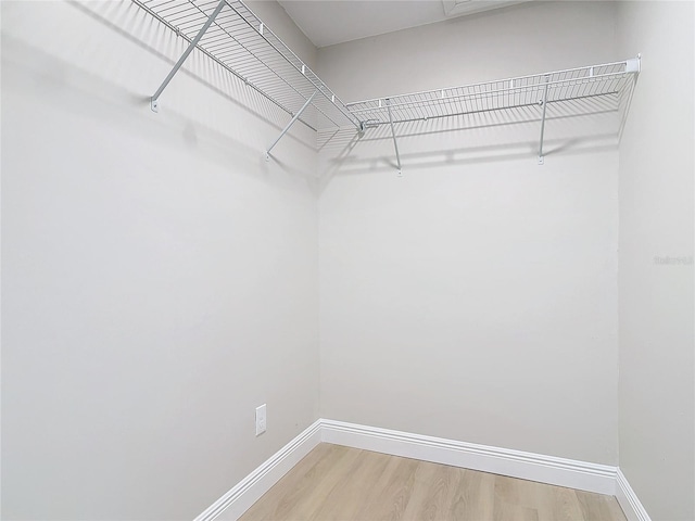 spacious closet featuring hardwood / wood-style flooring