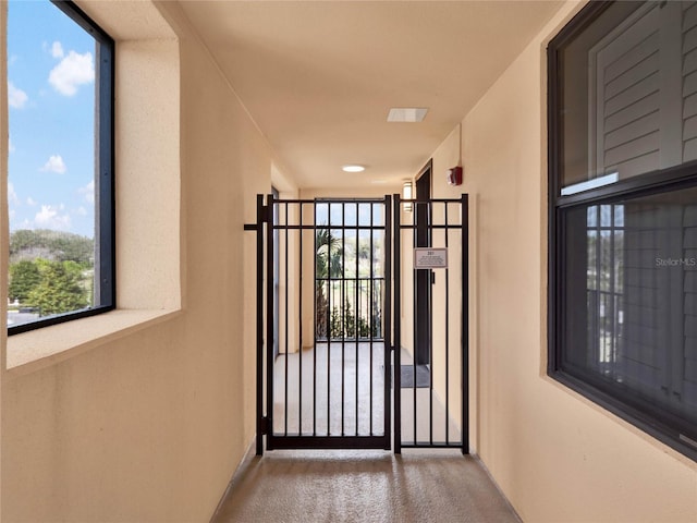 doorway with a wealth of natural light and carpet floors