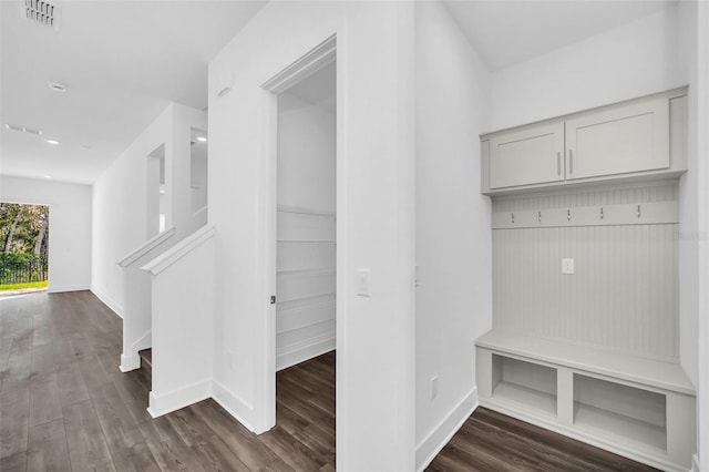 mudroom with dark hardwood / wood-style flooring