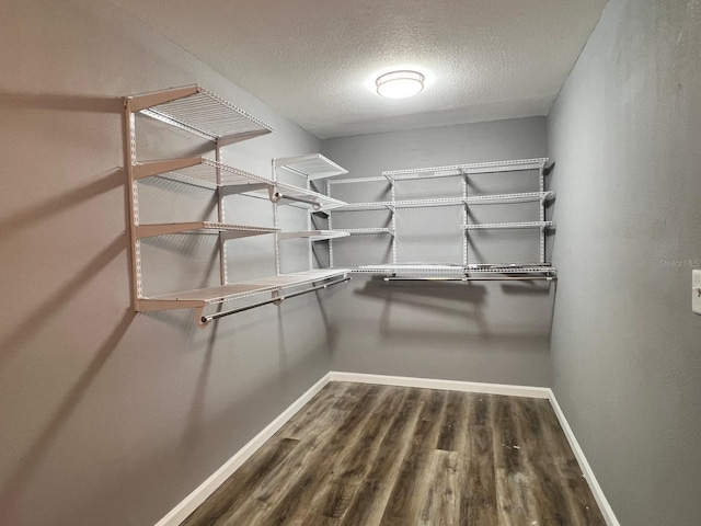 walk in closet featuring wood-type flooring