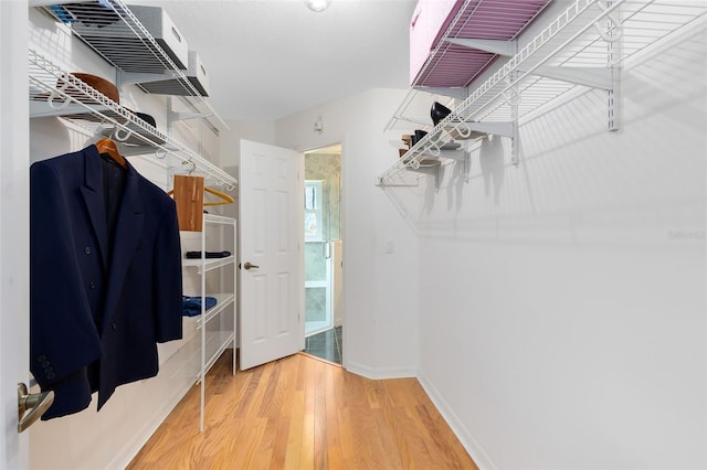spacious closet featuring wood-type flooring