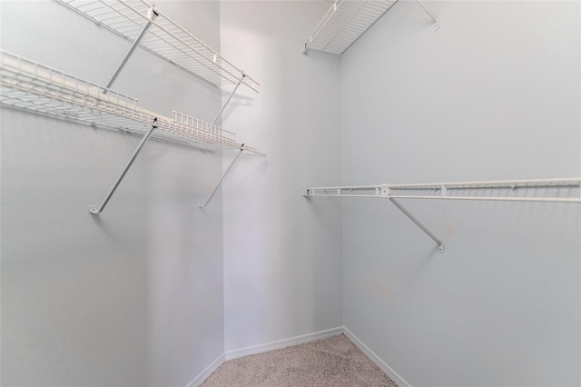 spacious closet with carpet floors