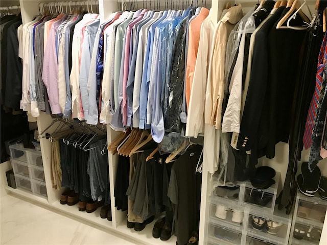 view of spacious closet