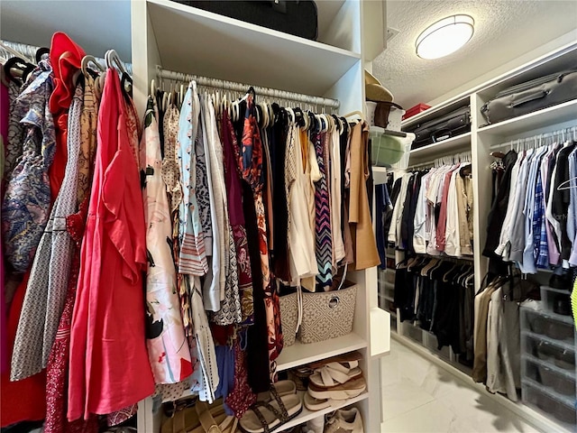 view of walk in closet