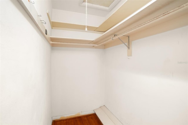 spacious closet featuring wood finished floors