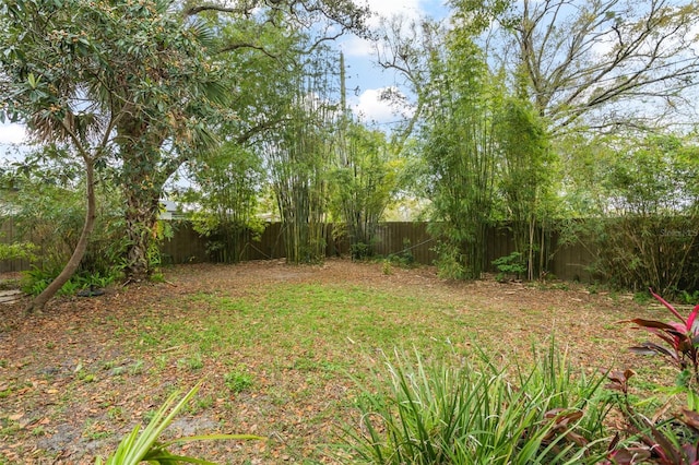 view of yard featuring a fenced backyard