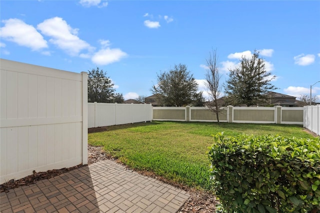 view of yard featuring a patio