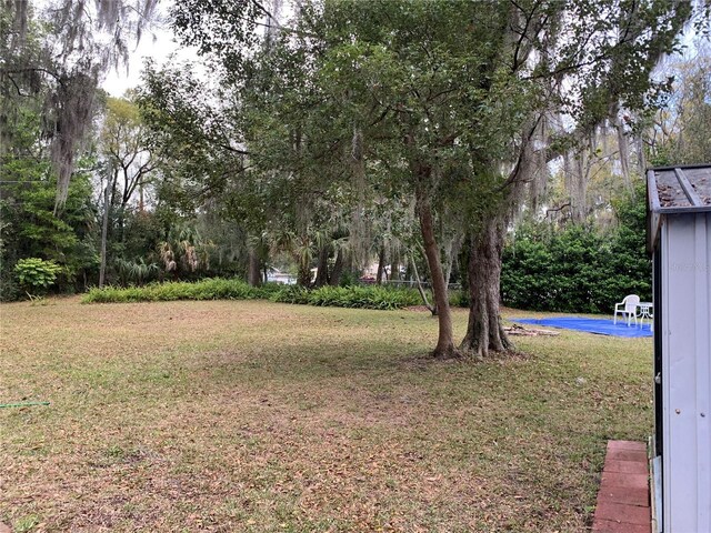 view of yard featuring a pool