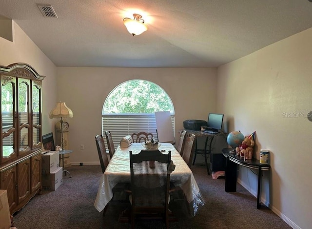 carpeted dining room featuring a wealth of natural light