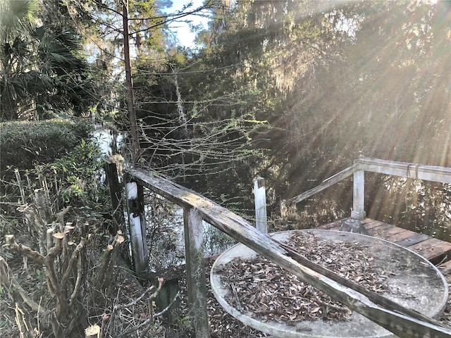 view of local wilderness