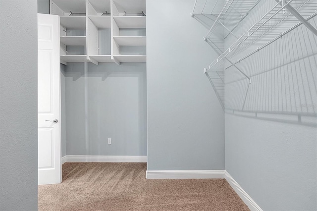 walk in closet with carpet