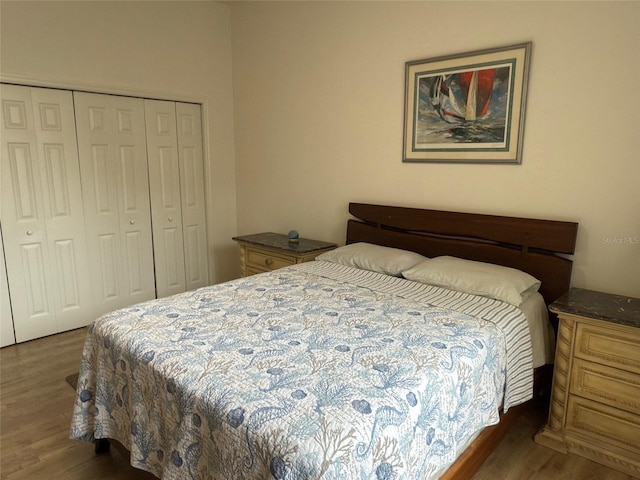 bedroom featuring dark wood-type flooring and a closet