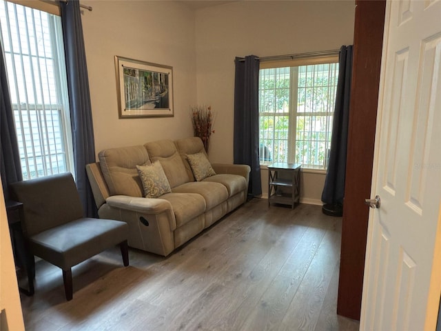 living room featuring hardwood / wood-style floors