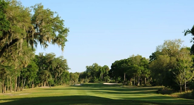 view of home's community with a yard