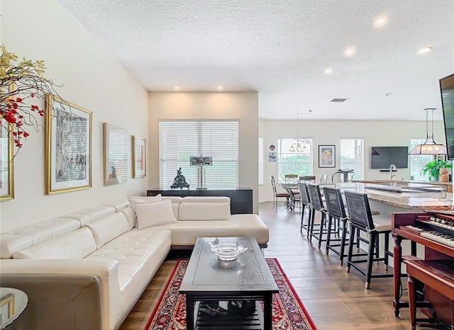 living room with dark hardwood / wood-style flooring and a textured ceiling