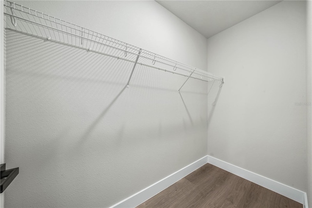 spacious closet featuring wood finished floors