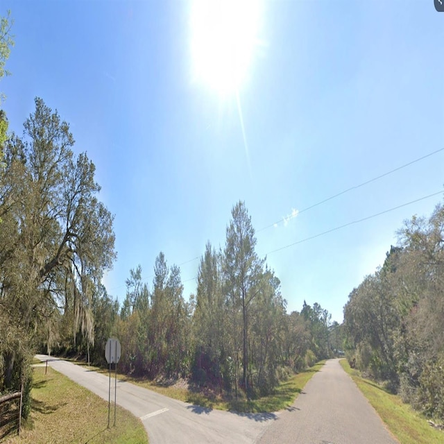 Listing photo 3 for Chinaberry St, Eustis FL 32736