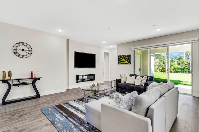 living room featuring hardwood / wood-style floors