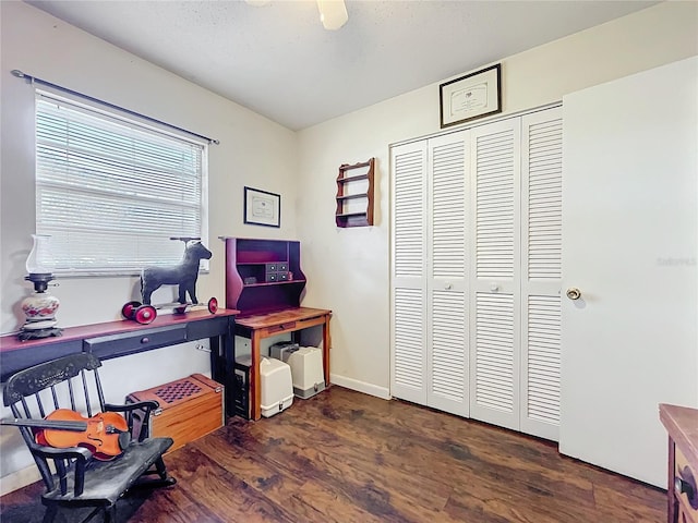 office area featuring ceiling fan and dark hardwood / wood-style floors