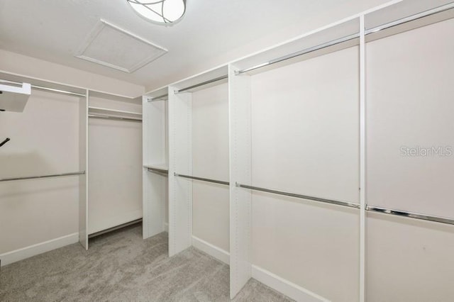 spacious closet with carpet flooring and attic access