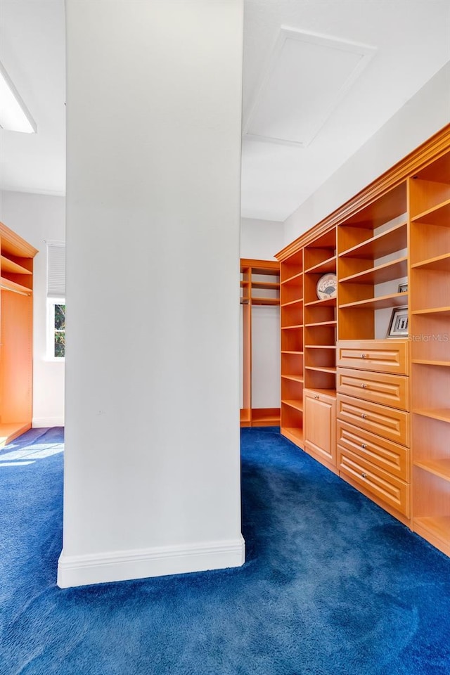 spacious closet featuring dark carpet