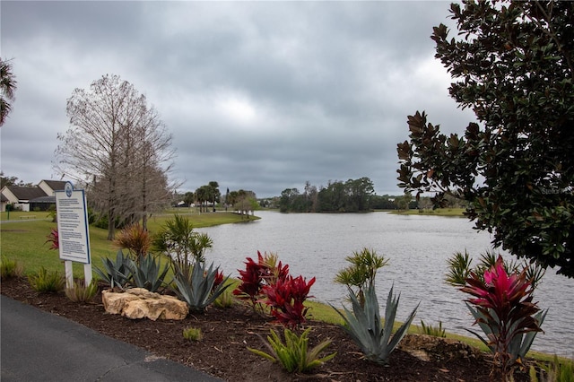 water view