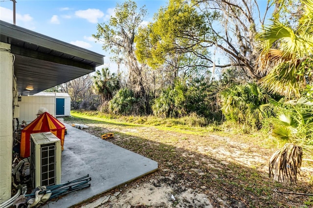 view of yard featuring a storage unit and a patio