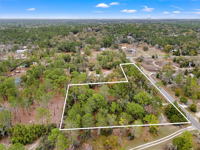 11357 Salina St, Brooksville FL, 34614 land for sale