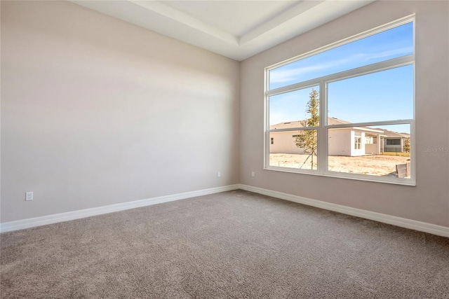 spare room featuring carpet flooring