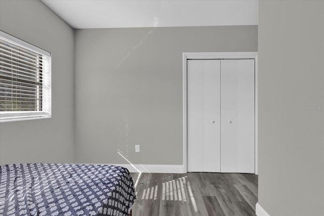 bedroom featuring wood-type flooring and a closet