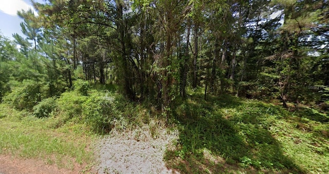 Oak Lane Trak, Ocala FL, 34472 land for sale