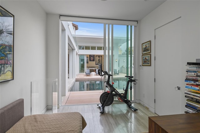 exercise area featuring wood finished floors and expansive windows