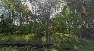 20 Cleveland Ct, Palm Coast FL, 32137 land for sale