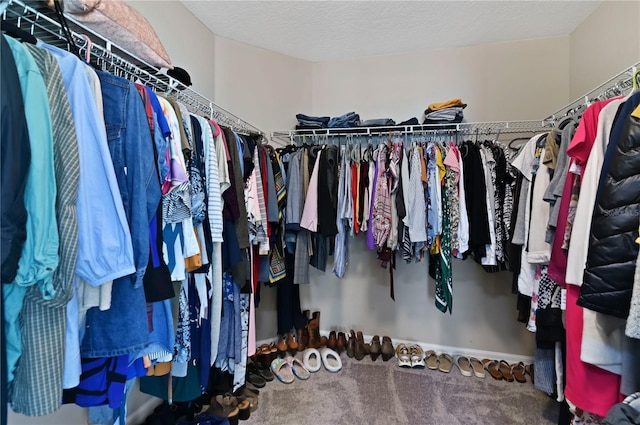1546 Park Leah Cir, Apopka, FL 32712 - spacious closet with carpet floors