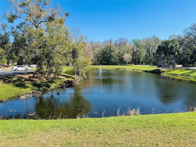 property view of water