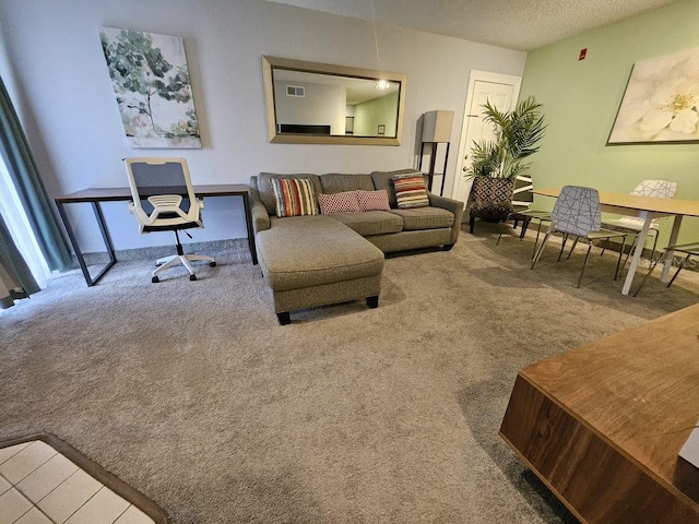 carpeted living room with a textured ceiling