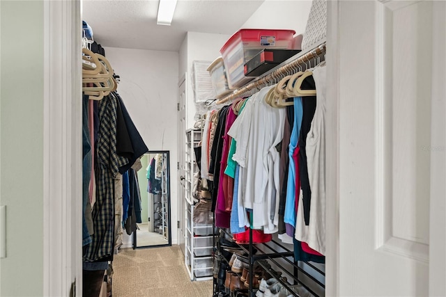 spacious closet with carpet flooring