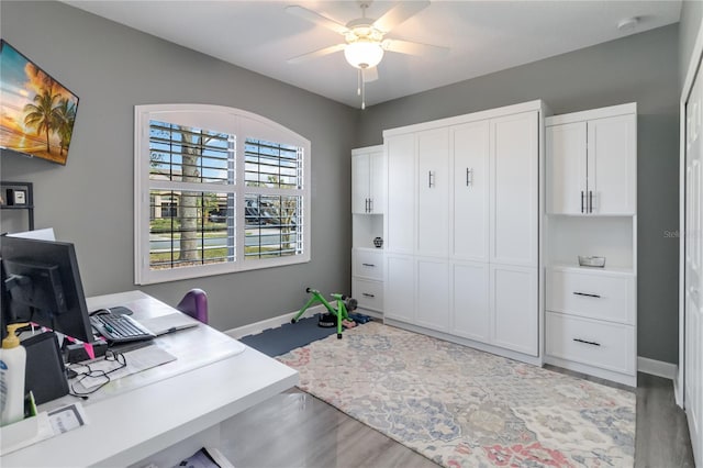 office space featuring ceiling fan and wood-type flooring