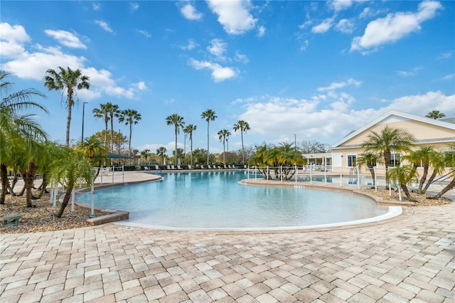 view of swimming pool with a patio area