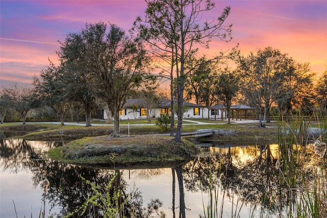 view of home's community with a water view