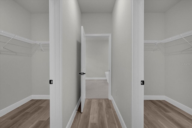 walk in closet featuring wood finished floors