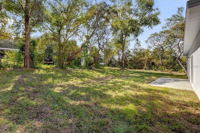 view of yard featuring a patio