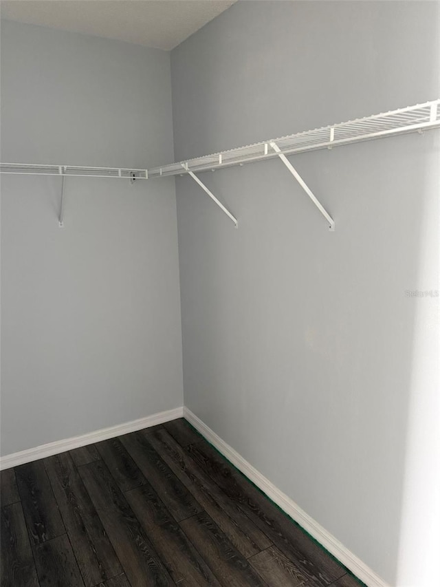 walk in closet featuring dark wood-type flooring