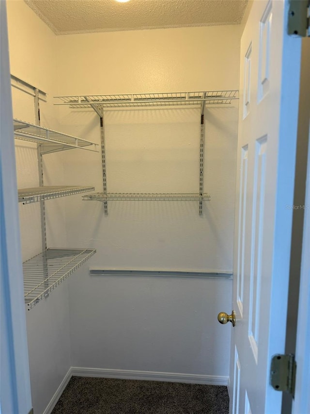 walk in closet featuring dark colored carpet