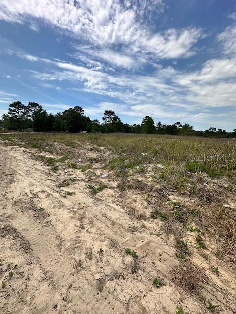 TBD SW 27th Ln, Ocala FL, 34481 land for sale