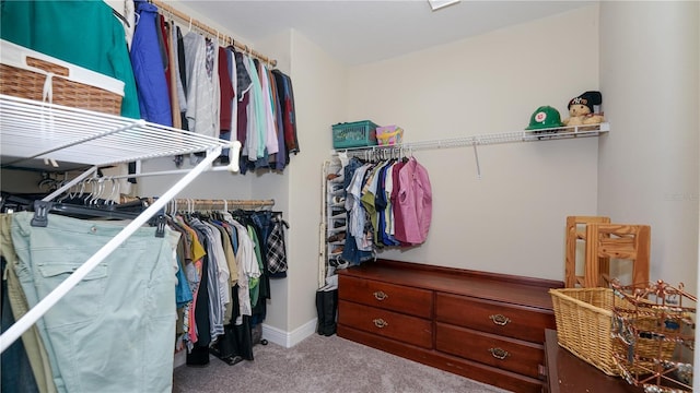 spacious closet featuring carpet flooring