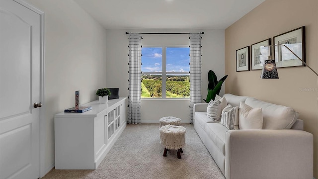 living area featuring light colored carpet